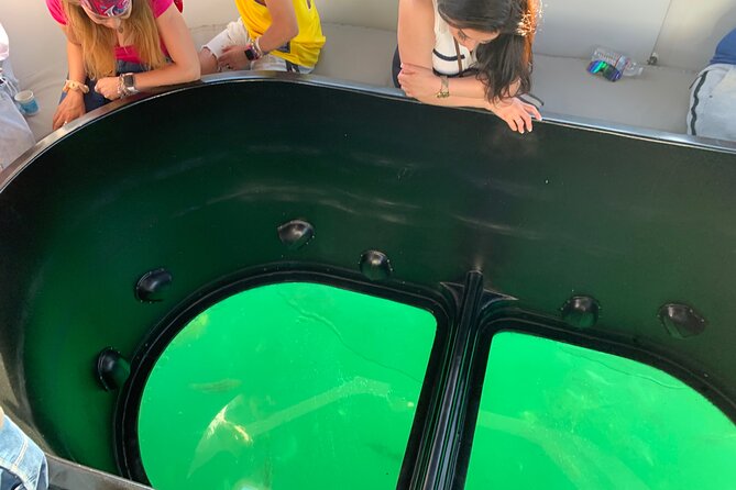 Long Beach Glass Bottom Boat Eco-Tour - Glass bottom viewing: how to get the best look without frustration