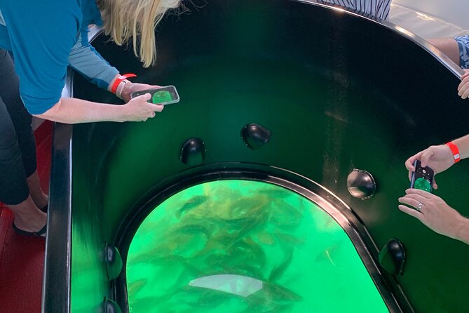 Long Beach Glass Bottom Boat Eco-Tour - Feeding fish: the simple trick that can boost your sightings