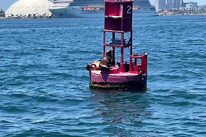 Long Beach Glass Bottom Boat Eco-Tour - Crew and on-board atmosphere: friendly service and a family-friendly vibe