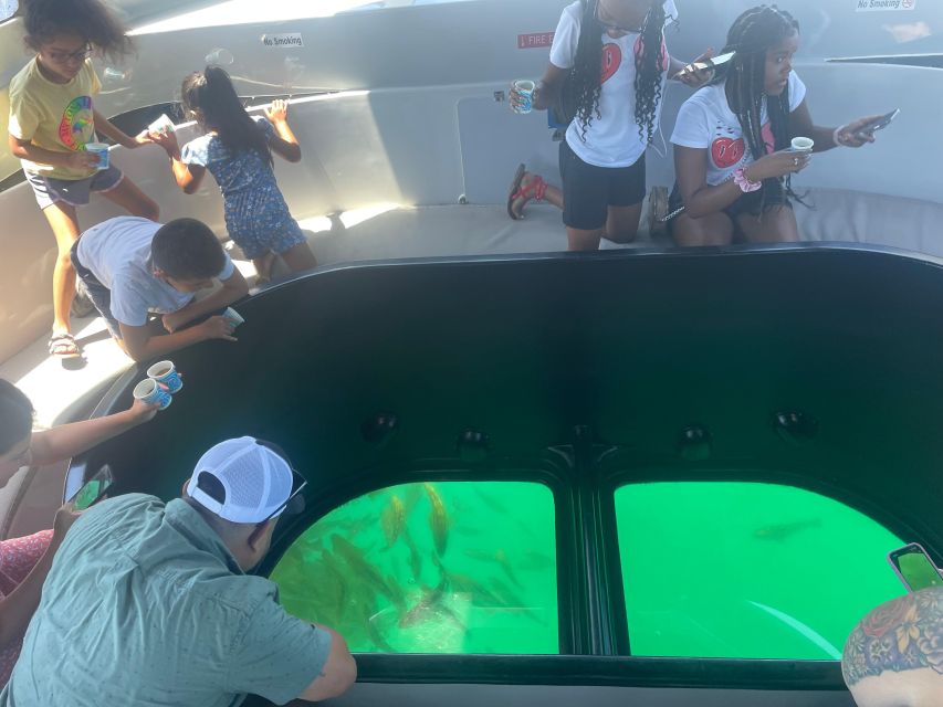 Long Beach: Glass Bottom Boat Harbor Ecotour - What Makes This 1-Hour Long Beach Glass-Bottom Ecotour Feel Like a Win for $30