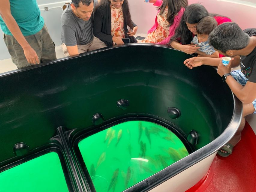 Long Beach: Glass Bottom Boat Harbor Ecotour - Looking Through the Glass: Fish, Seal Lions, and What You Can Hope to See