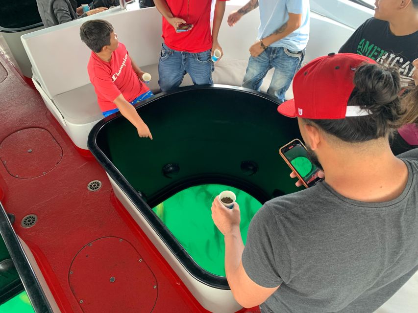 Long Beach: Glass Bottom Boat Harbor Ecotour - Family-Friendly Without Being Babyish: Why This Works for Kids