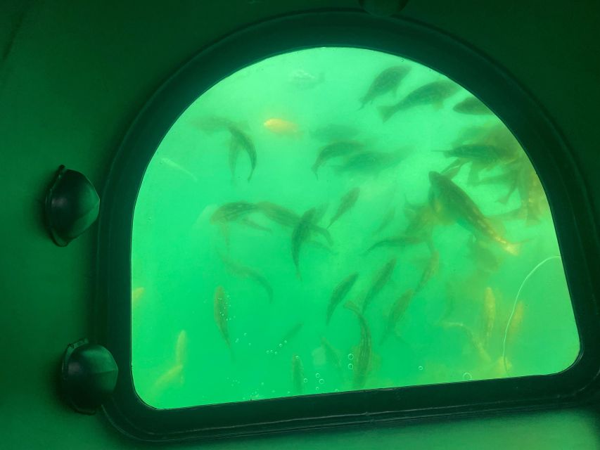 Long Beach: Glass Bottom Boat Harbor Ecotour - The Big Consideration: If Water Visibility Is Low, What Still Works?