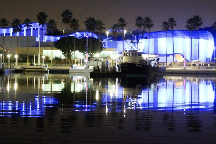 Long Beach: Private Night Yacht Cruise With City Lights - Quick Practical Tips for a Smooth 1-Hour Charter