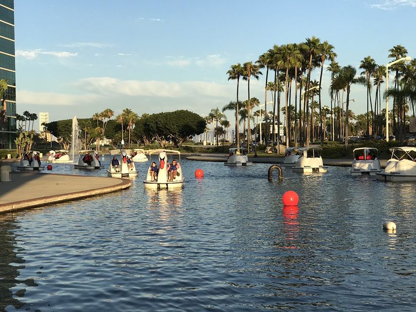 Long Beach: Swan Boat Rental at Rainbow Lagoon - Daytime ride vs LED night ride: how the same hour changes
