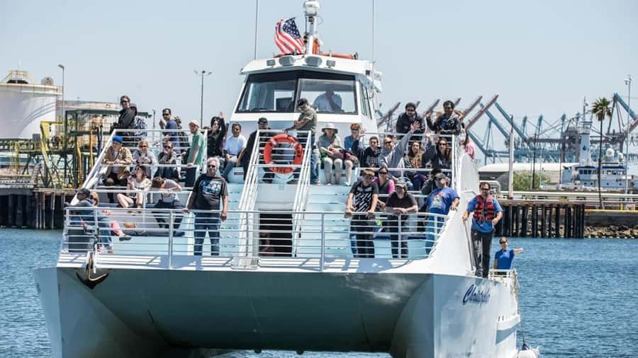 Long Beach: Whale and Dolphin Watching Cruise - Who this cruise is perfect for