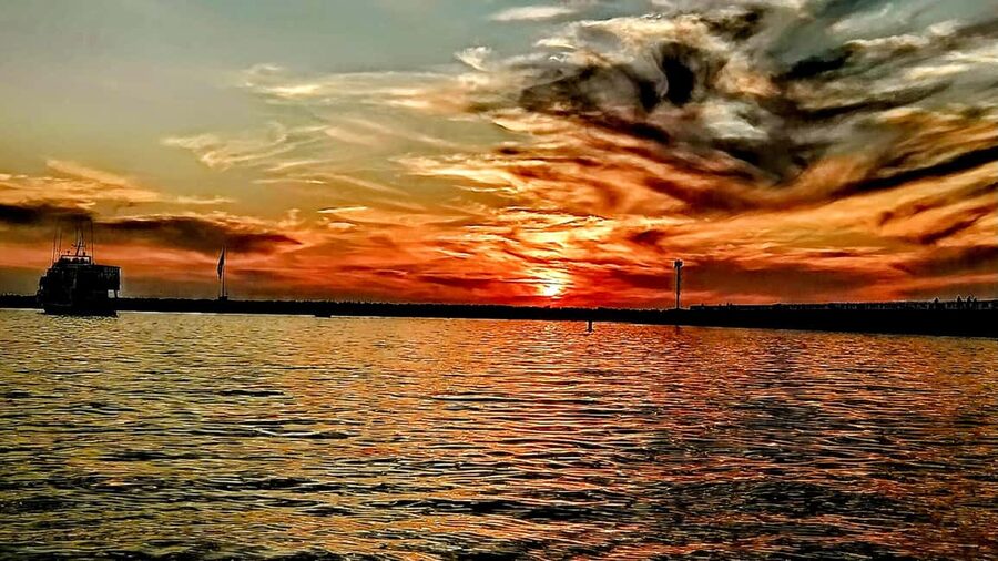 Los Angeles #1: Luxury Boat Cruise-Wine, Cheese & Sea Lions - Key things to know before you board in Marina del Rey