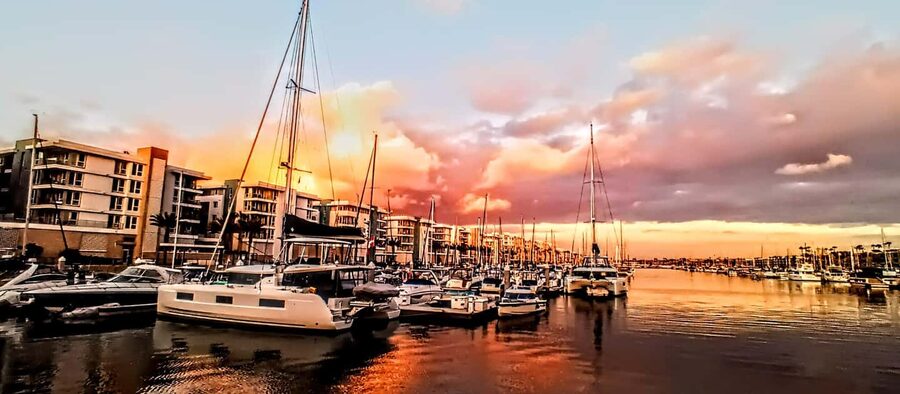 Los Angeles #1: Luxury Boat Cruise-Wine, Cheese & Sea Lions - Marina del Rey by electric boat: why this feels different from LA sightseeing
