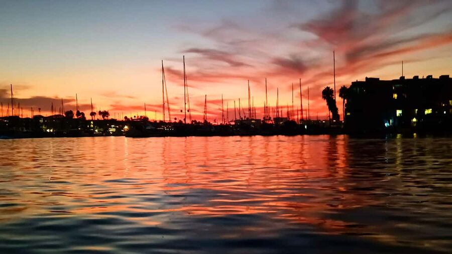Los Angeles #1: Luxury Boat Cruise-Wine, Cheese & Sea Lions - The 2-hour cruise experience: what you’ll actually do during the ride