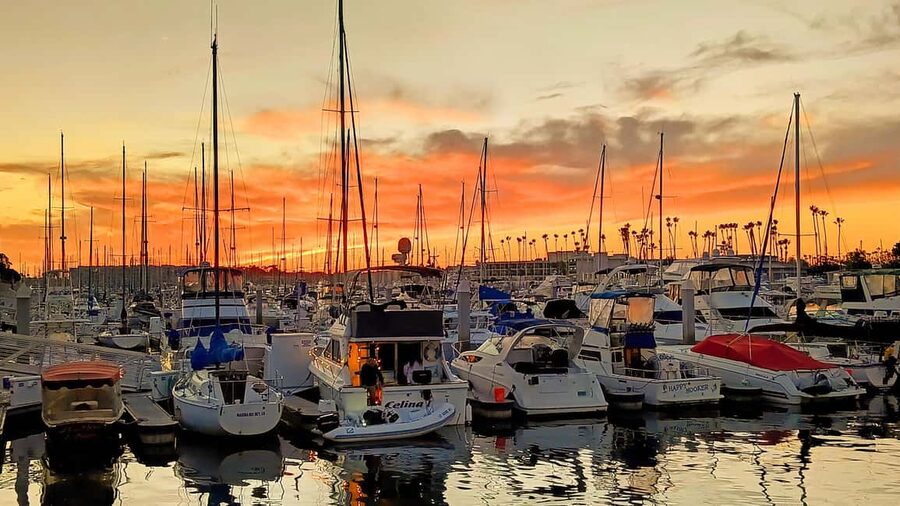 Los Angeles #1: Luxury Boat Cruise-Wine, Cheese & Sea Lions - Price and value: what $149 buys you for two hours on the water