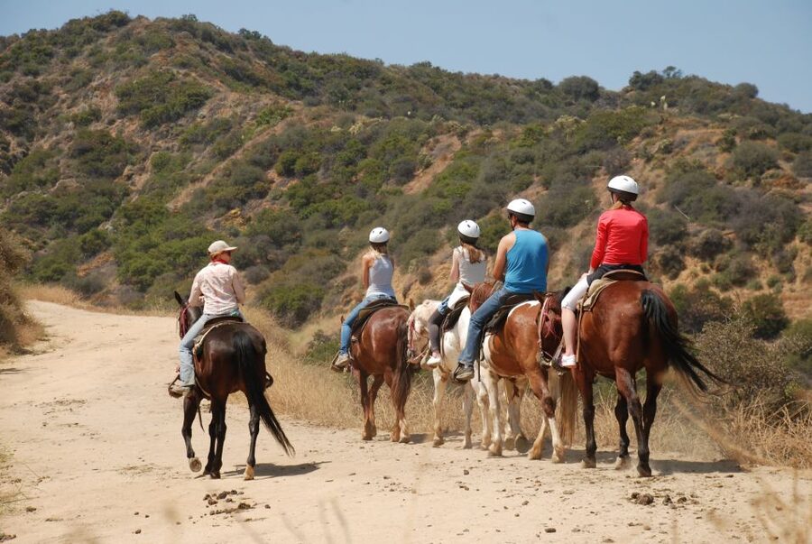 Los Angeles: 2-Hour Hollywood Trail Horseback Riding Tour - The Griffith Park trail: Hollywood sign views, Observatory vibes, and skyline time