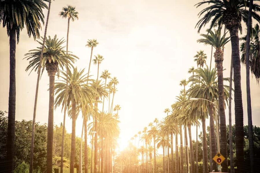 Los Angeles 4-Hour Private Tour: Beverly Hills & More - Beverly Hills and Bel Air Mansions: More Than Just Pretty Gates