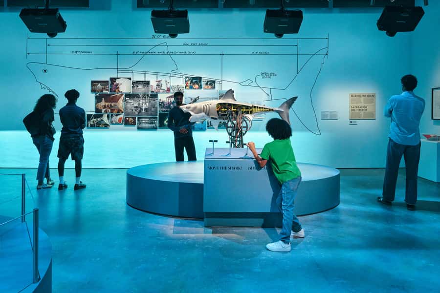 Los Angeles: Academy Museum of Motion Pictures Ticket - Key Highlights Before You Go