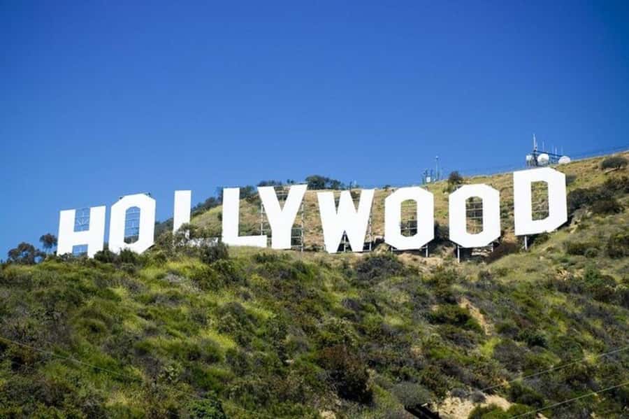 Los Angeles: City Highlights Tour From Cruise Port - From Cruise Port to Hollywood: The 9:00 AM Start That Sets the Tone