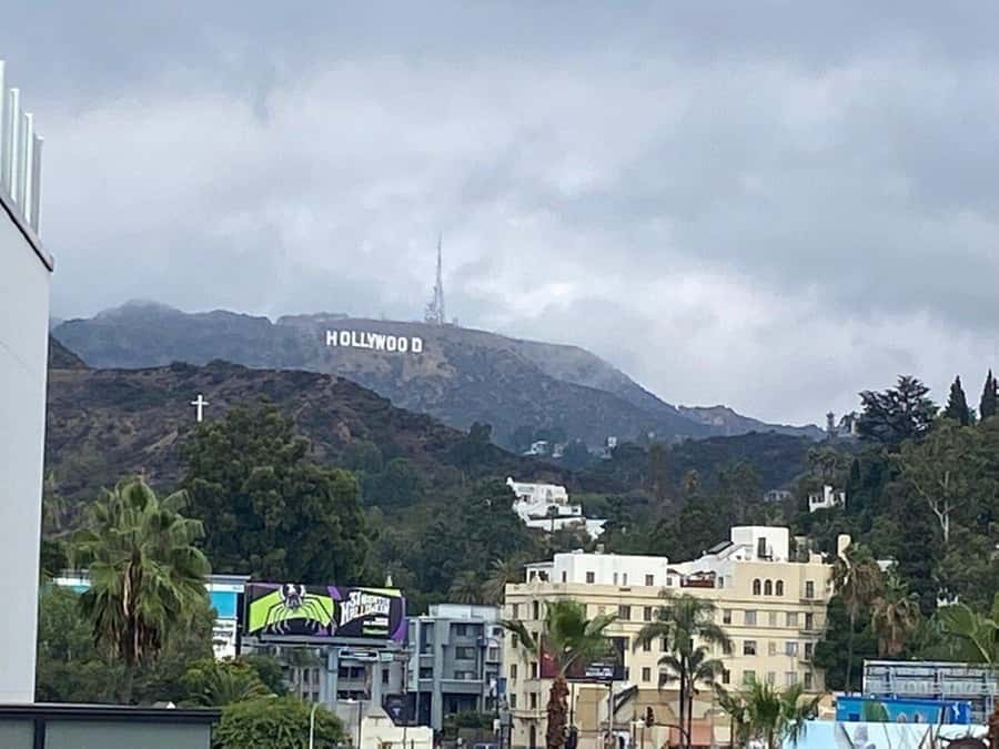 Los Angeles: City Highlights Tour From Cruise Port - Beverly Hills Drive-By: Rodeo Drive and Wilshire Blvd Without the Slow Pace