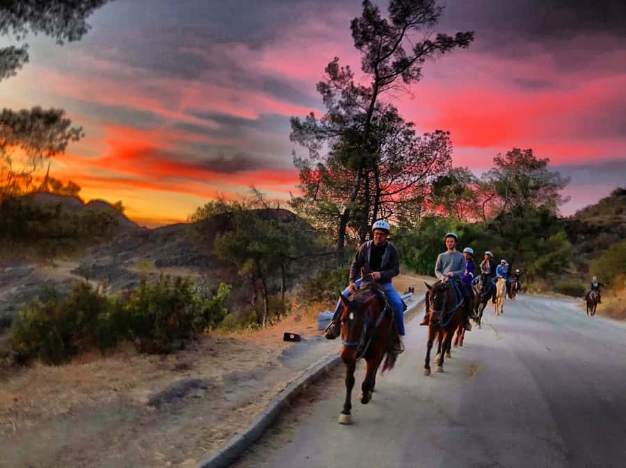 Los Angeles: Evening 2-Hour Hollywood Horseback Riding Tour - The Easy Pace: What Your 2-Hour Ride Feels Like
