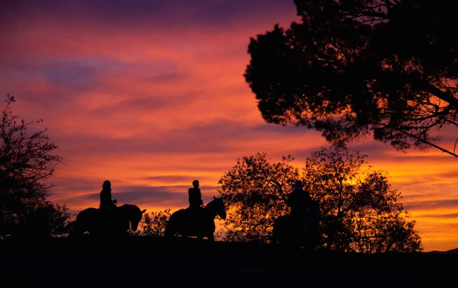 Los Angeles: Evening 2-Hour Hollywood Horseback Riding Tour - Iconic LA Stops You’ll Actually Get to See