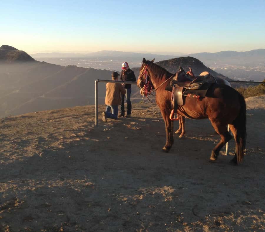 Los Angeles: Evening 2-Hour Hollywood Horseback Riding Tour - Griffith Park Hills: Where the 360 Views Happen