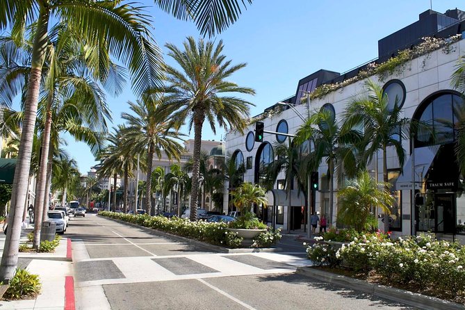 Los Angeles Full Day Private Tour - Venice Beach: canals to the shore, with plenty of personality