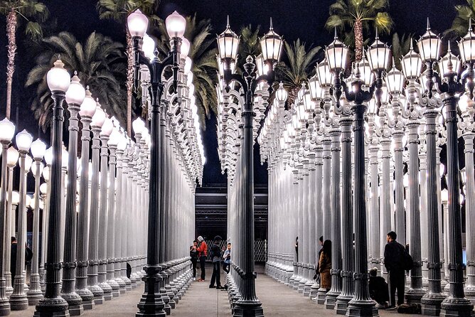 Los Angeles Half-Day Private City Tour with Celebrity Homes - Hollywood Walk of Fame and the TCL Chinese Theater: Movie-Premiere Energy in One Stop