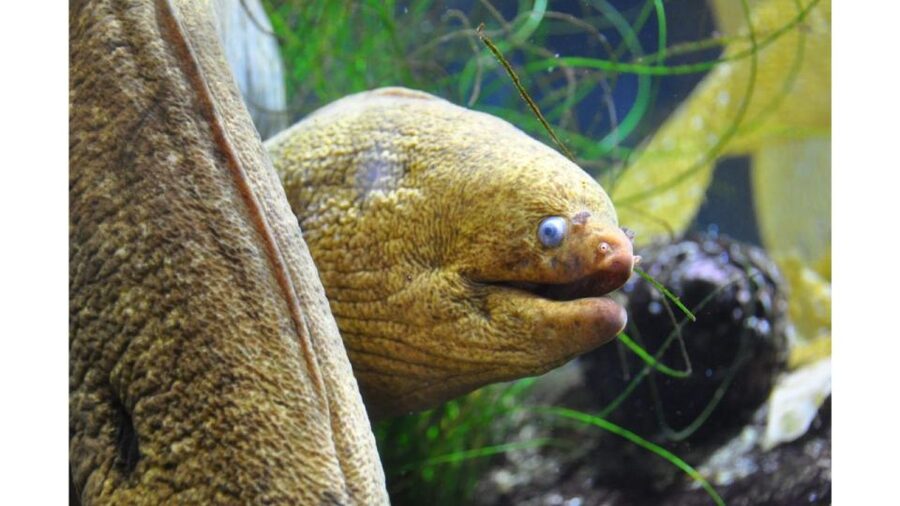 Los Angeles: Heal The Bay Aquarium in Santa Monica - Key Things I’d Plan For