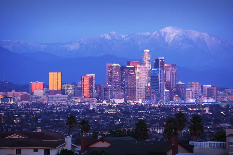 Los Angeles, Hollywood, & Beverly Hills Afternoon City Tour - Should You Book This Afternoon LA Tour?