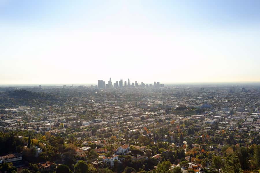 Los Angeles, Hollywood, & Beverly Hills Afternoon City Tour - Price and Value: Is $86 Worth It?