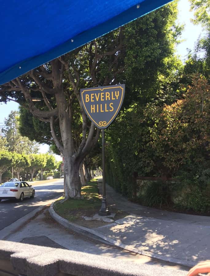Los Angeles: Hollywood Tour & Celebrity Homes - Who should book this Hollywood tour (and who might skip it)