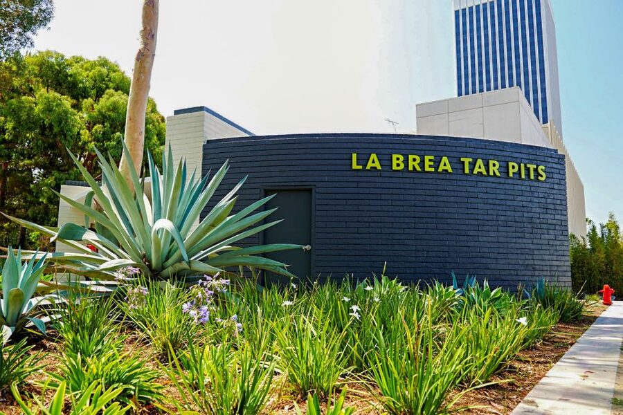 Los Angeles: La Brea Tar Pits Museum Ticket - Key things to notice before you go