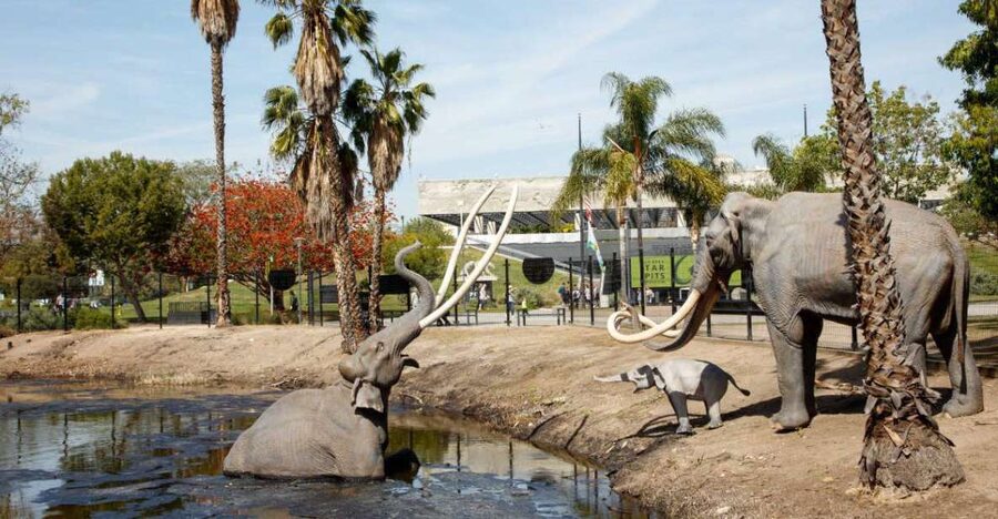 Los Angeles: La Brea Tar Pits Museum Ticket - A living Ice Age in the middle of Los Angeles