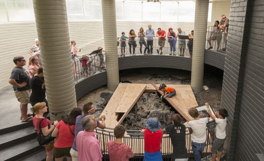 Los Angeles: La Brea Tar Pits Museum Ticket - The tar pits in plain view: what makes the outdoor moments special