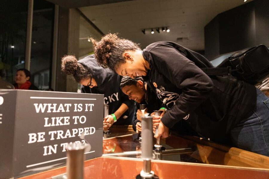 Los Angeles: La Brea Tar Pits Museum Ticket - Pleistocene Gardens: using an outdoor setting to make sense of the fossils