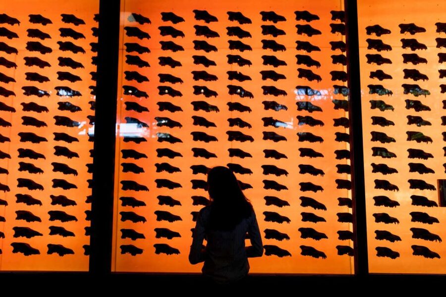 Los Angeles: La Brea Tar Pits Museum Ticket - Fossil Lab viewing: where the science is right in front of you