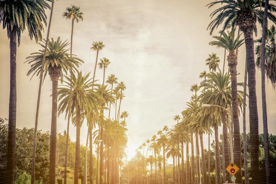Los Angeles: LA in a Day Guided Electric Bike Tour - Santa Monica photo time: sea air and the big-city coast