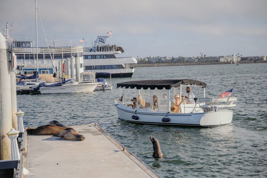 Los Angeles: Luxury Cruise with Wine, Cheese & Sea Lions - Sea lions and birds: wildlife watching without the hassle