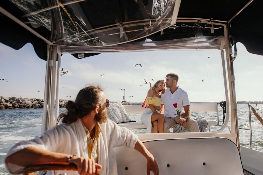 Los Angeles: Luxury Cruise with Wine, Cheese & Sea Lions - Private or small groups: why the format can feel worth it