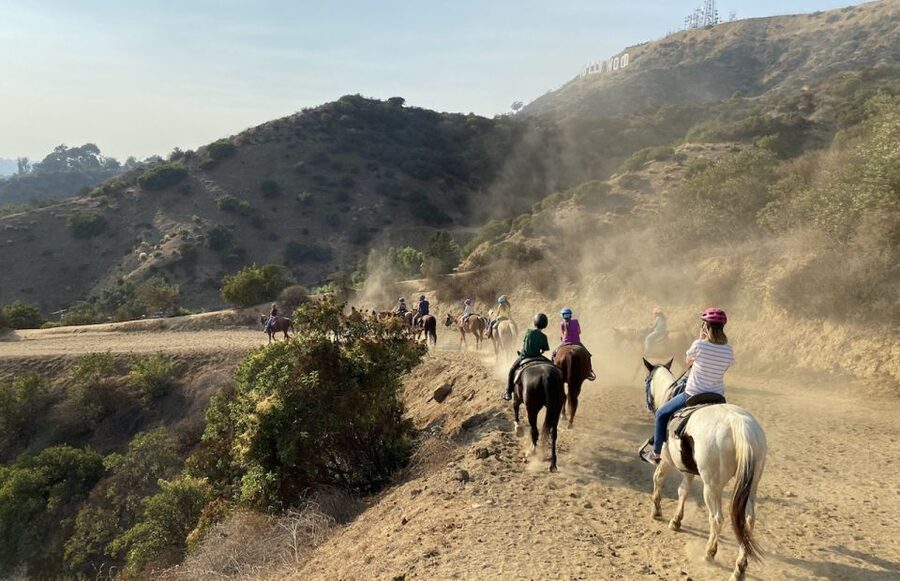 Los Angeles: Mulholland Trail Horseback Riding Tour - Where You Meet Sunset Ranch Hollywood (and Why Parking Matters)