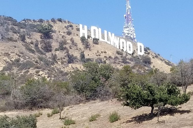 Los Angeles Private Tour - Who This Tour Fits Best (and Who Might Prefer Another Plan)