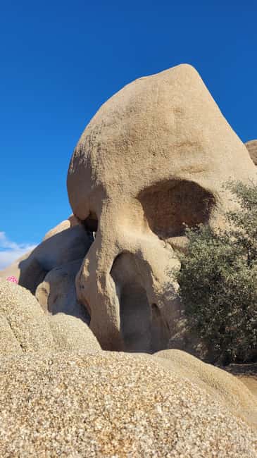 Los Angeles: Private Tour to Joshua Tree National Park - Hiking in Joshua Tree: How to Keep It Fun in Any Weather