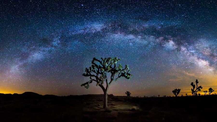 Los Angeles: Private Tour to Joshua Tree National Park - FAQ