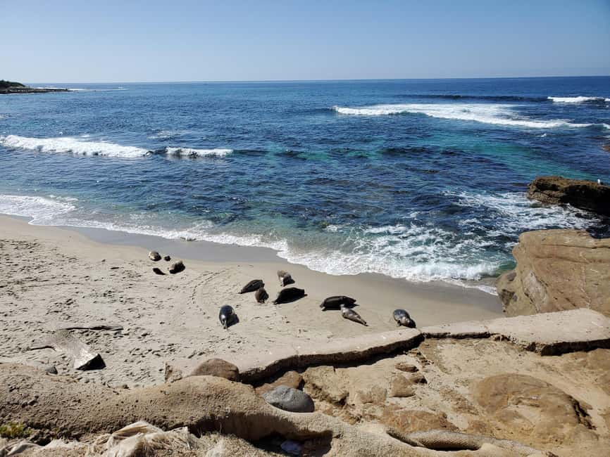 Los Angeles: private tour to San Diego - Coronado Island: the payoff walk