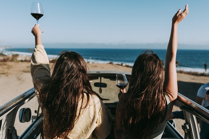 Los Angeles: Private Vintage VW Bus Tour in Malibu - A Vintage VW Bus Makes Malibu Feel Personal