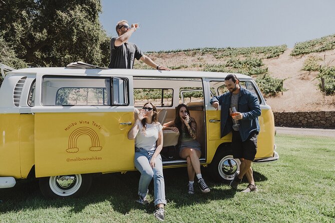 Los Angeles: Private Vintage VW Bus Tour in Malibu - Overlooks and Canyon Cruising: Where You’ll Want Your Camera