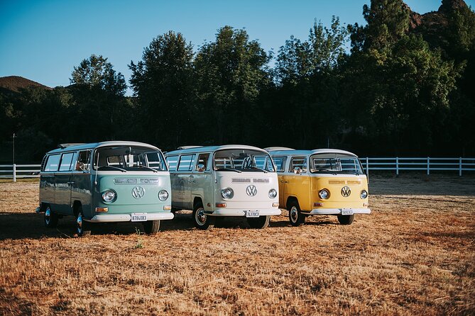Los Angeles: Private Vintage VW Bus Tour in Malibu - Wildlife in Its Natural Setting (Not a Zoo Vibe)