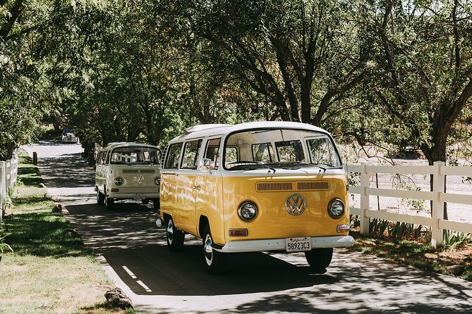 Los Angeles: Private Vintage VW Bus Tour in Malibu - Snacks, Wine Timing, and the One-Day-Can-Change-It Factor