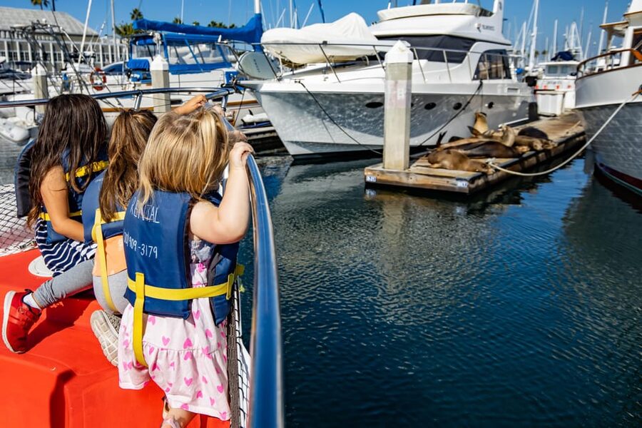 Los Angeles: Redondo Beach Glass Bottom Boat Cruise - Quick Hits: What Makes This Cruise Worth 45 Minutes?