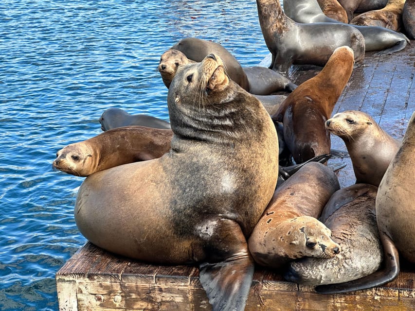 Los Angeles: Redondo Beach Glass Bottom Boat Cruise - What’s Included (and What You Bring Yourself)