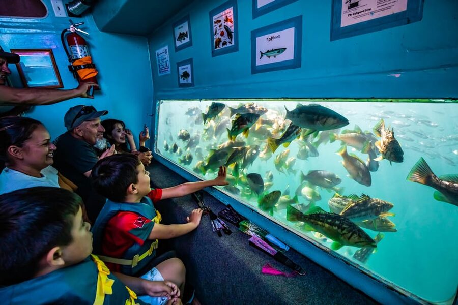 Los Angeles: Redondo Beach Glass Bottom Boat Cruise - The 45-Minute Plan: From Harbor Dock to Sea Lions and Fish Windows