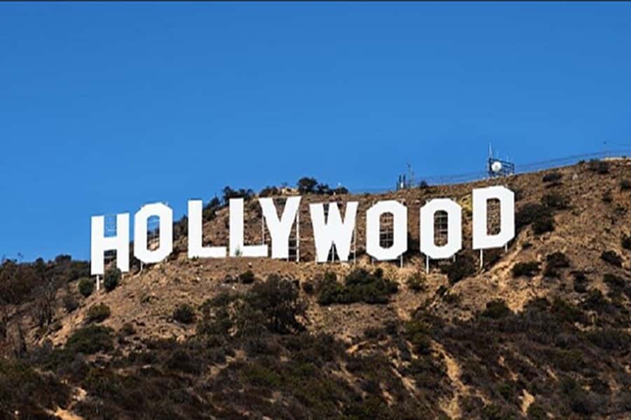 Los Angeles Sightseeing Tour: From Anaheim & Buena Park - Hollywood Boulevard and TCL Chinese Theatre: Handprints, foot prints, and iconic facades