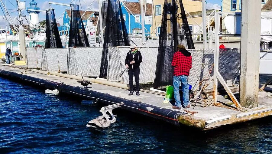 Los Angeles: Sunset Sailing - Should You Book Los Angeles Sunset Sailing?